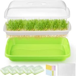 Green Seed Sprouter Trays with Lid - 6 Pack Soil-Free Cultivation Germination Tray, Nursery Tray with Planting Paper for Indoors or Outdoors (6, Green)