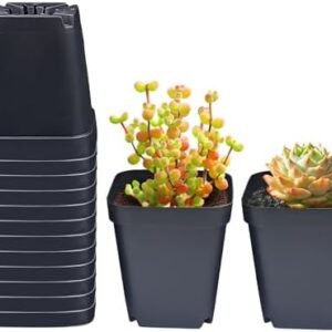 Square Nursery Pots 3.54Inches 90 Pcs Seedling Flower Post Plastic Thick Seed Start Germination for Plant Propagation,Sturdy Suit for 1020 Trays(Black,3.54Inches,90Pcs)