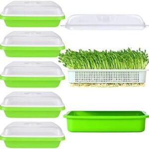 6 Pack Seed Sprouting Tray with Drain Holes BPA Free Nursery Tray Microgreens Growing Trays Wheatgrass Grower Sprouting Container Seed Germination Propagation Trays for Garden Home Office