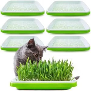 Pack 6 Seed Sprouter Tray with Drain Holes,Seed Germination Tray Kit BPA Free Nursery Tray,Soil-Free Big Capacity Healthy Wheatgrass Grower Sprouting Container Kit for Home