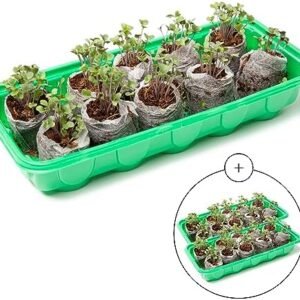 Window Garden Mini Greenhouse Seed Starter Kit – Reusable Seedling Trays - Indoor Germination Tray with Humidity Dome and Soil Pods - Windowsill Seeds Germinator - 30 Cells Starting Trays, 3 Pack