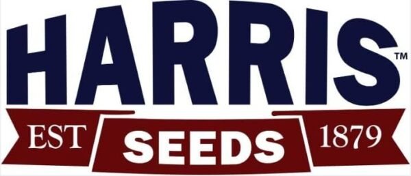 GARDEN TRENDS 1020 No Drainage Trays - Seed Starting Reusable Plastic Trays - Plant Germination Tray (6) - Fits Standard Plug Trays - Image 4