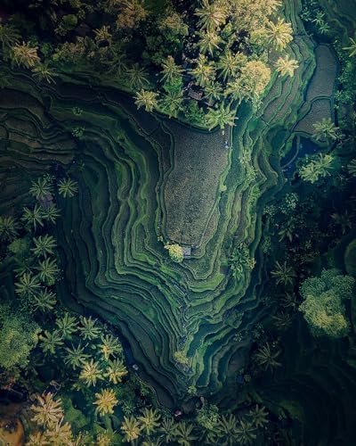 The Terracing Poster Print - Fikri Muharram (24 x 36)