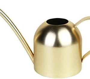 Stainless Steel Water Can for Indoor Plants and Garden (Gold 15 oz)