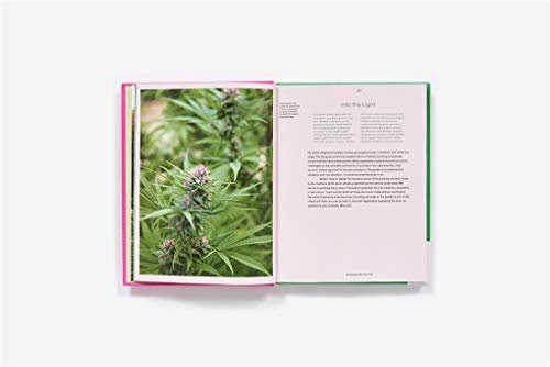 Growing Weed in the Garden: A No-Fuss, Seed-to-Stash Guide to Outdoor Cannabis Cultivation - Image 8