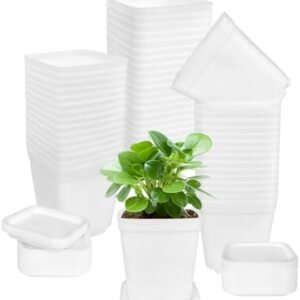 OJYUDD 72 Pcs 3 Inch White Square Plastic Pots with Saucer,White Plastic Plant Seedling Pots,Seedling Nursery Pots Indoor Outdoor for Succulents/Plant,Garden,Office and Balcony Decor