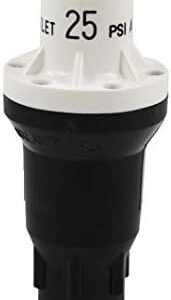 Pressure Regulator 25 PSI 3/4” FNPT Qty 1 by Growers Solution