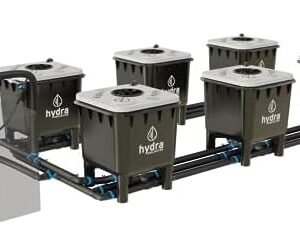 Hydramax Professional Deep Water Culture Systems for Growing Fruits, Veggies, and Medicinal Herbs; Everything You Need to Start Your hydroponic Garden Journey (2 Row - 6 Bucket)