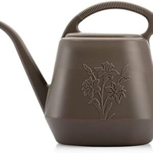 Fasmov 1-Gallon Plastic Watering Can with Comfortable Handle, Garden Watering Cans Long Spout for Indoor Outdoor Watering Plants, Gray