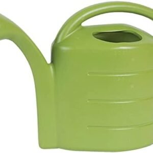 Novelty 30413 2 Gallon Deluxe Watering Can, Green