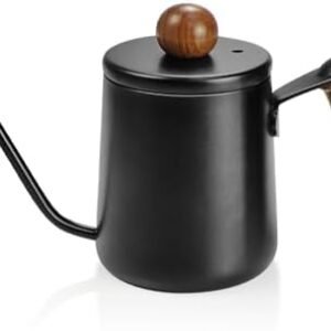 Small Watering Can for Indoor Plants, Metal Watering Can with Long Spout, Lid and Handle 12 oz/ 350 ml