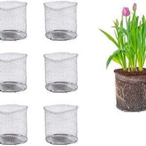 Aulock 6 Pack 1 Gallon Root Stainless Steel Guard Baskets for Plants, Heavy Duty Bulb Cages for Planting, Reusable Gopher Plant Protector, Burrowing Animals Cages for Trees Flowers Bulbs Root