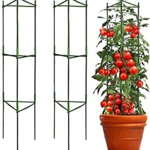 Tomato Cage 3 Pack, Assembled Plant Climbing Frame for Growing Vegetables and Fruits Garden Plant Support Stakes Flower Beds Balcony Gardening Cucumber Trellis