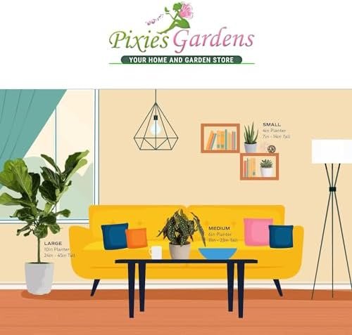 Harvester Peach Tree Shrub Live Fruit Plant for Planting - Grafted - One of The Highest Yielding Peach Trees (3 Gallon - Set of 2 Potted) - Image 4