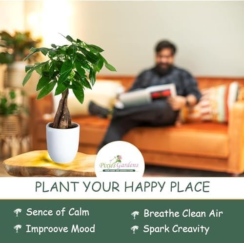 Harvester Peach Tree Shrub Live Fruit Plant for Planting - Grafted - One of The Highest Yielding Peach Trees (3 Gallon - Set of 2 Potted) - Image 2