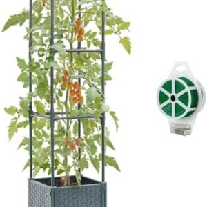 Raised Garden Bed with Tomato Planter Cage, Trellis Planter Boxes for Outdoor Patio Greenhouse Gardening Climbing Vegetables