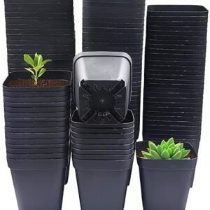 Square Nursery Pots 3" 120Pcs Deep Succulent Plastic Pots Small Flower Planter Seeds Starter Germination Pots with Drainage (Black,2.7Inches,120Pcs)