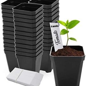 48 pcs Plastic Nursery Pot for Plants 2.75" Square x 3.25" Seed Starting/Transplant Plant Containers for Tomatoes Basil Peppers Mint with 48 Label Markers and Drain Holes for Germination with Ebook