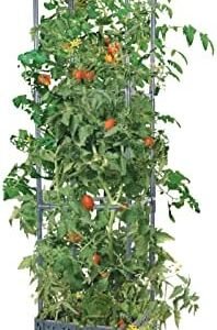 GREEN MOUNT Raised Garden Bed Planter Boxes with Trellis for Climbing Vegetables Plants Tomato Cage