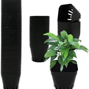 2.5 Inch Plastic Plant Nursery Pots 100 Pcs Seedlings Flower Plant Container Black Seed Starting Pots for Succulents Plants Vegetables Fruits Seedlings Transplanting