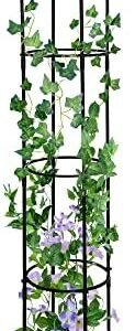 Garden Obelisk Trellis for Climbing Plants Outdoor 6 Ft Rose Bush Round Trellis for Pots Rustproof Metal Plant Flower Trellises for Clematis Vine Jasmine Support Outdoor Indoor