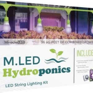 Miracle LED Hydroponics LED Indoor Grow Light Kit - Includes 4 Absolute Daylight Plus Red & Blue Spectrum 150W Replacement Grow Light Bulbs & 1 4-Socket Corded Fixture with SproutMatic Timer