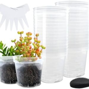 30 Packs 4 inch Clear Nursery Pots with Drainage Holes, Reuseable Seed Starter Pots Plastic Planters with Anti-Leaking Screen Mesh Pads - Perfect for Seeding and Transplanting