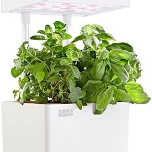 Back to the Roots Hydroponic Grow Kit, Indoor Garden (Matte White), Organic Seeds Included, Gardening Gift, Everything Included
