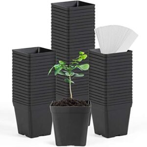 Square Nursery Pots 3.3 Inches Flexible Plastic Seedling Pots Square Pots for Plants, Succulent, Flower, Pack of 60, with 60 PCS Plant Labels