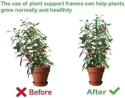 Adjustable Tomato Plant Support Cages. 8 Pack 36 Inch Tomato Plant Stakes for Climbing Plants,Vegetables,Flowers,Fruit. - Image 4