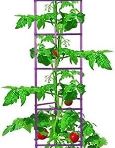 Growsun Large Tomato Cage 6 Pack Upto 73 inch Tall Tomato Trellis Garden Stakes Plant Support,Purple(5ft Stake add 18 inch Adjustable Stakes)