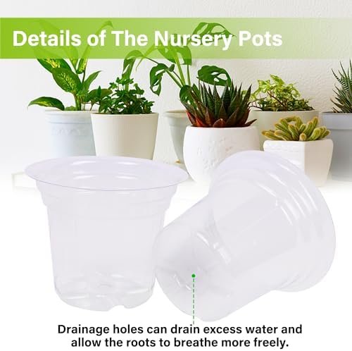 winemana 4 Inch Seed Starter Tray for Vegetable Herb Lettuce Seeds, Plant Pots for Potting Soil Indoor Plants, Clear Nursery Pots Plastic Planting Pots Garden Flower Pots- 60 Packs - Image 4