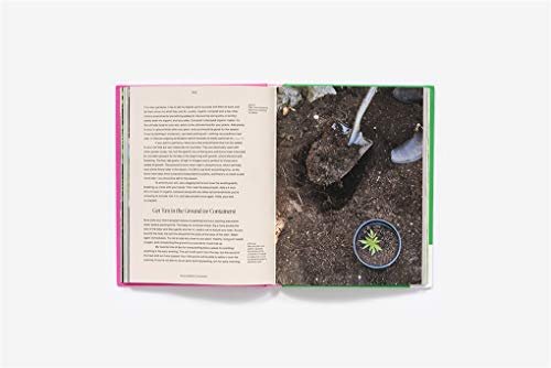 Growing Weed in the Garden: A No-Fuss, Seed-to-Stash Guide to Outdoor Cannabis Cultivation - Image 6