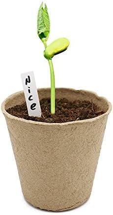 KINGLAKE 100 Pcs 3 Inch Peat Pots, Seeds Starter Pots,Transplant Seedlings Pots with 100 Pcs White Plastic Plant Labels - Image 7