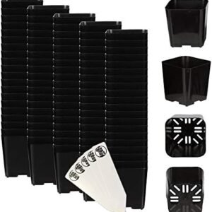 The Hydroponic City 2 Inch Black Square Nursery Pots for Starting Seedlings, Succulents, or Cacti - 2" x 2", Pack of 100 + 5 THCity Stakes
