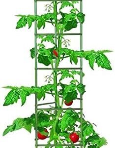 Growsun Tomato Cage for Garden, Upto 73 inch 6 PackTall Tomato Trellis Garden Stakes Plant Support, Green(5ft Stake add 18 inch Adjustable Stakes)