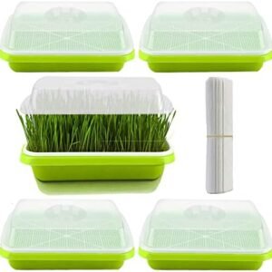 5 Pack Seed Sprouter Trays with Lids, 13.4 x 9.8 x 4.3 Inch Soil Free Microgreens Growing Trays, Wheatgrass Seeds Grower with Planting Papers for Cultivating Sprouts