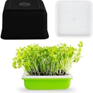 Seed Sprouter Tray Bean Sprout Grower Seedling Tray Sprouting Kit for Garden Home Use Peanut Sprouter Tray