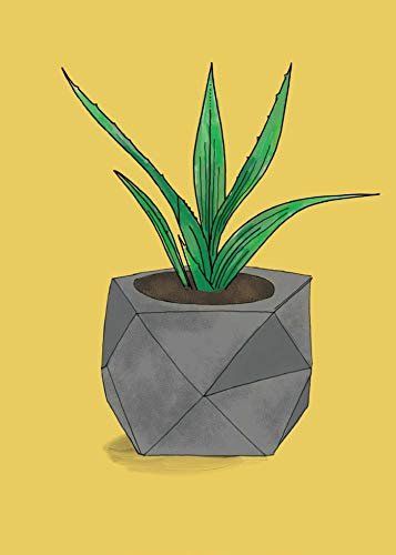 How to Train Your Cactus: A Guide to Raising Well-Behaved Succulents - Image 3