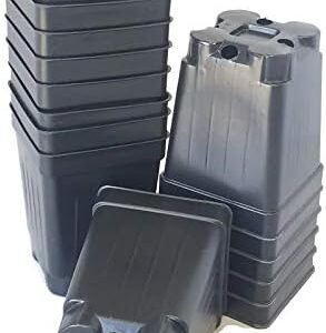 100-2.5 inch Square DEEP Black Plastic Nursery pots seedlings Plants Landmark