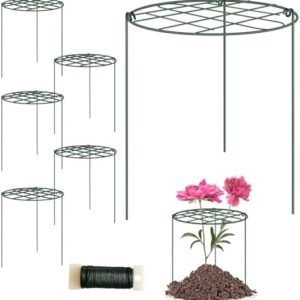 6 Pack Peony Cages and Supports 12 x 16 Inch Grow Through Plant Supports for Outdoor Plants,Plant Brace Flower Support Rings Hoops for Vegetables,Rose,Tomato,Orchids