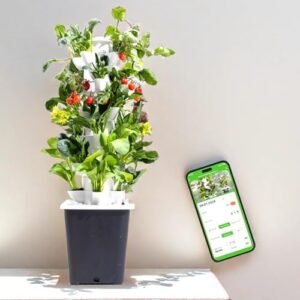 Hydroponic Growing System 30 pods, hydroponic Vegetable Tower, Plant Germination kit with Pump System, Auto Timer, Indoor Garden Beginner kit