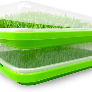 Seed Sprouting Tray for Sprouts and Microgreens Growing Kit, Sprouts Growing Kit, Sprouting Kit for Wheatgrass Growing Kit, Bean Sprouts, Sprouting Tray, Germination Kit for Wheatgrass Seeds - 2 Pack