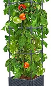 LINEX Raised Garden Bed Planter Box with Trellis, 56.7” Tomato Planters for Climbing Plants Vegetable Vine Flowers Outdoor Patio, Tomatoes Cage w/Self-Watering & Wheels