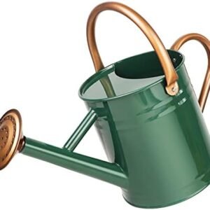 Metal Watering Can with Removable Spout, Galvanized Steel Plants Water Can for Women, Men and Kids' Outdoor or Indoor Gardening - Nice Flower Metal Watering Pot Gift & Decoration