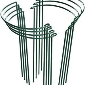 HiGift 8 Pack Plant Support Stakes, Half Round Metal Garden Plant Stake Indoor Peony Cages and Supports, Green Plant Support Ring Border for Tomato,Hydrangea,Flower Outdoor (10" Wide x 15.8" High)