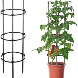 Tomato Cage for Garden, 60" Tomato Cages for Plant Support, 3-Layer Tomato Trellis for Raised Bed, Outdoor Pots, Metal Sturdy Cherry Tomato Stakes Supports for Cucumber Vegetable Climbing Plants Grow