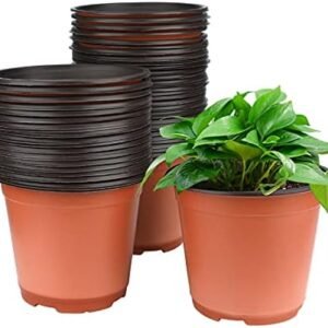 KINGLAKE 50 Pcs 6" Plastic Plants Nursery Seedlings Pot/Pots Flower Plant Container Seed Starting Pots for Plant