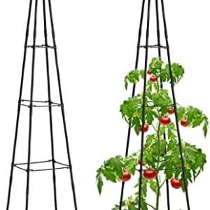 Garden Trellis for Climbing Plants Outdoor, 64" Tall Plant Trellis with 4-Tier Adjustable Stake Arms - Outdoor Indoor Potted Plant Support for Vine, Vegetable, Obelisk Trellis, Black, 1 Pack