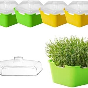 4 Pack Seed Sprouter Tray with Cover, Plastic Seed Germination Tray, Soil-Free, Suit for Kitchen Garden Home Office, BPA Free (Green)